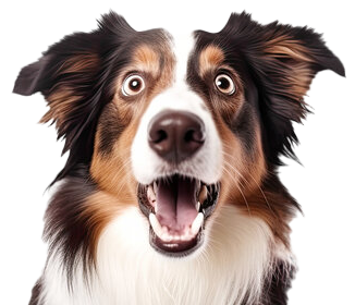 360_F_611787137_LImxUlu7qO2Elx3CZjNBK2WmqOEc0R3C.png
